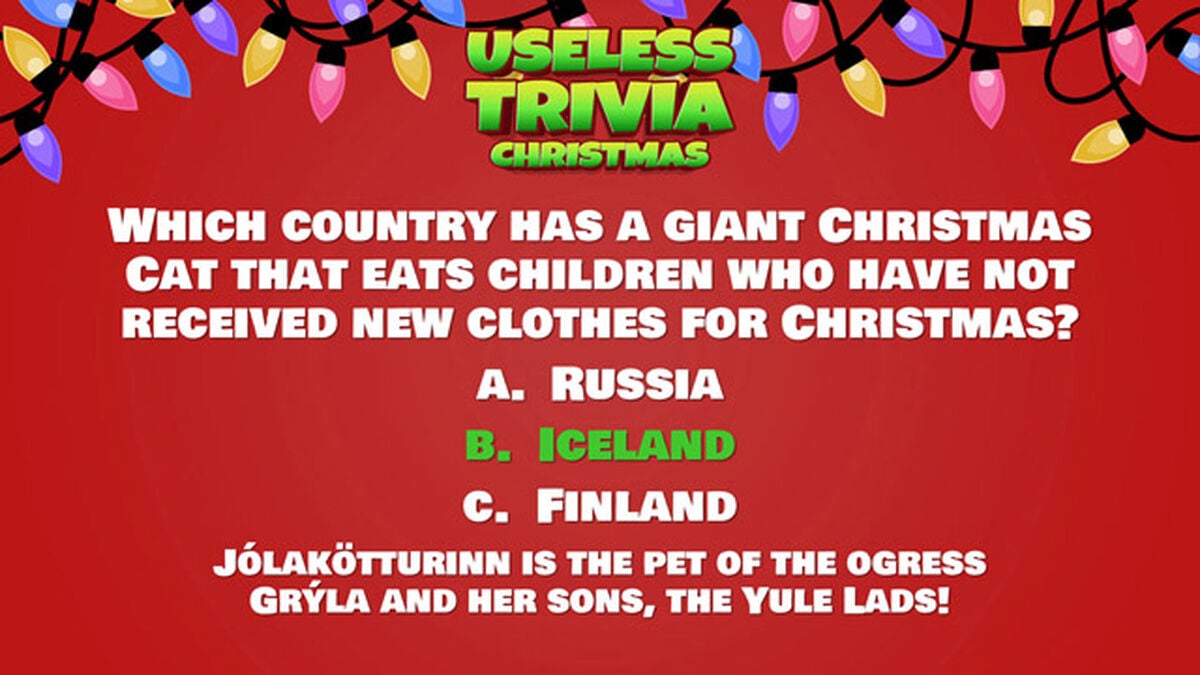 Useless Trivia Christmas image number null